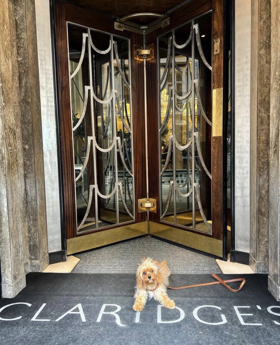 Happy Monday morning from us all here at Claridge’s 👋🏻 ( and of course our adorable friend Dolly 🐶 ) #mondaymood #mayfairmornings #decodoors #claridges 🤩