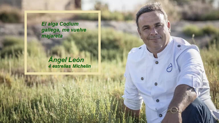 bigdatabp's tweet image. El Chef del Mar asegura que es pura esencia de mar. 
Las algas al igual que el pescado y el marisco, deben ser trazables en todas las fases desde la recolecta hasta la venta.

bigdatabp.com 
ERP módulo Calidad y Seguridad Alimentaria Trazabilidad
FF.: La Voz de Galicia