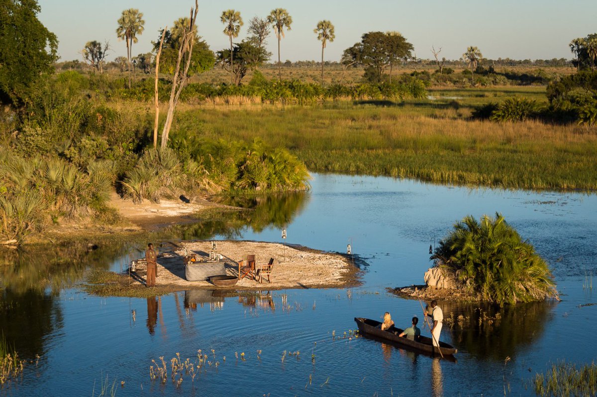 MuthaigaTravel's tweet photo. Situated on a private island in the heart of the Okavango Delta, Jao Camp offers an unbeatable luxury African safari experience within one of Mother Nature's true masterpieces.
#jaocamp #okavangodelta #botswana #wildlife #natgeo #safari https://t.co/nPjOD6FSAi