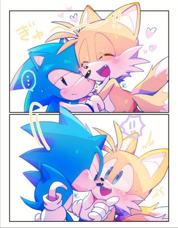 sonic and tails gay