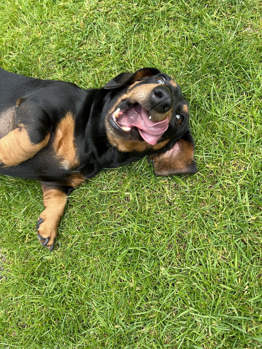 Mike Preston tweet media