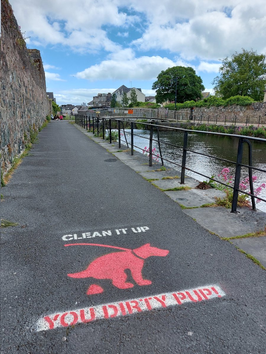 galwayswestend's tweet photo. Don’t make us say it again!! 💩 Clean up after your pup (and yourself!!) to keep Galway’s Westend clean and safe for everybody! 

#galwayswestend #crossthebridge #galway #thisisgalway #ireland #cometogalway #cleanitup #litter #doglitter #dogsoftwitter https://t.co/lNkzBgOYTe