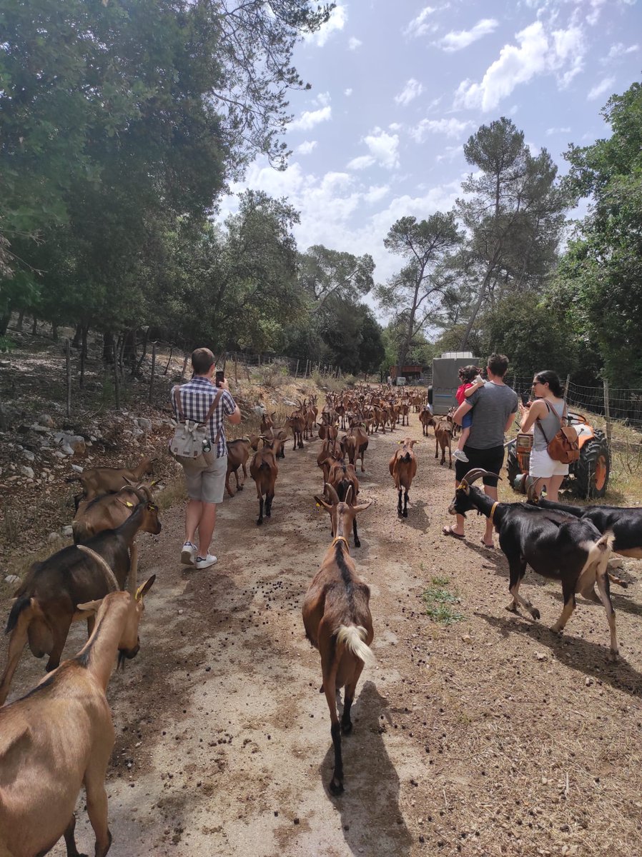 ValbonneSA's tweet photo. [ 📷 RETOUR SUR... ]

La deuxième édition de Loca’Val s’est déroulée samedi 4 juin à #Valbonne #SophiaAntipolis. Que ce soit au village, à la médiathèque ou à la chèvrerie, on pouvait s’informer, s’amuser, fabriquer, découvrir… 

L'article à lire ici : https://t.co/EBEfSdX344 https://t.co/onOrsEcYFK