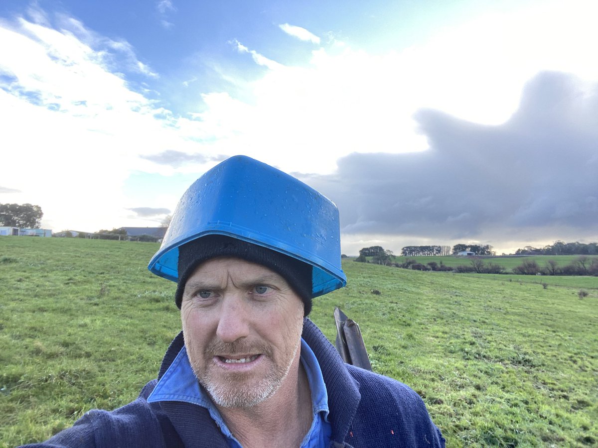 When you sneak out between showers without a coat and get caught out, but find the remains of the bin that was blown over. Dairy all round. Happy days.