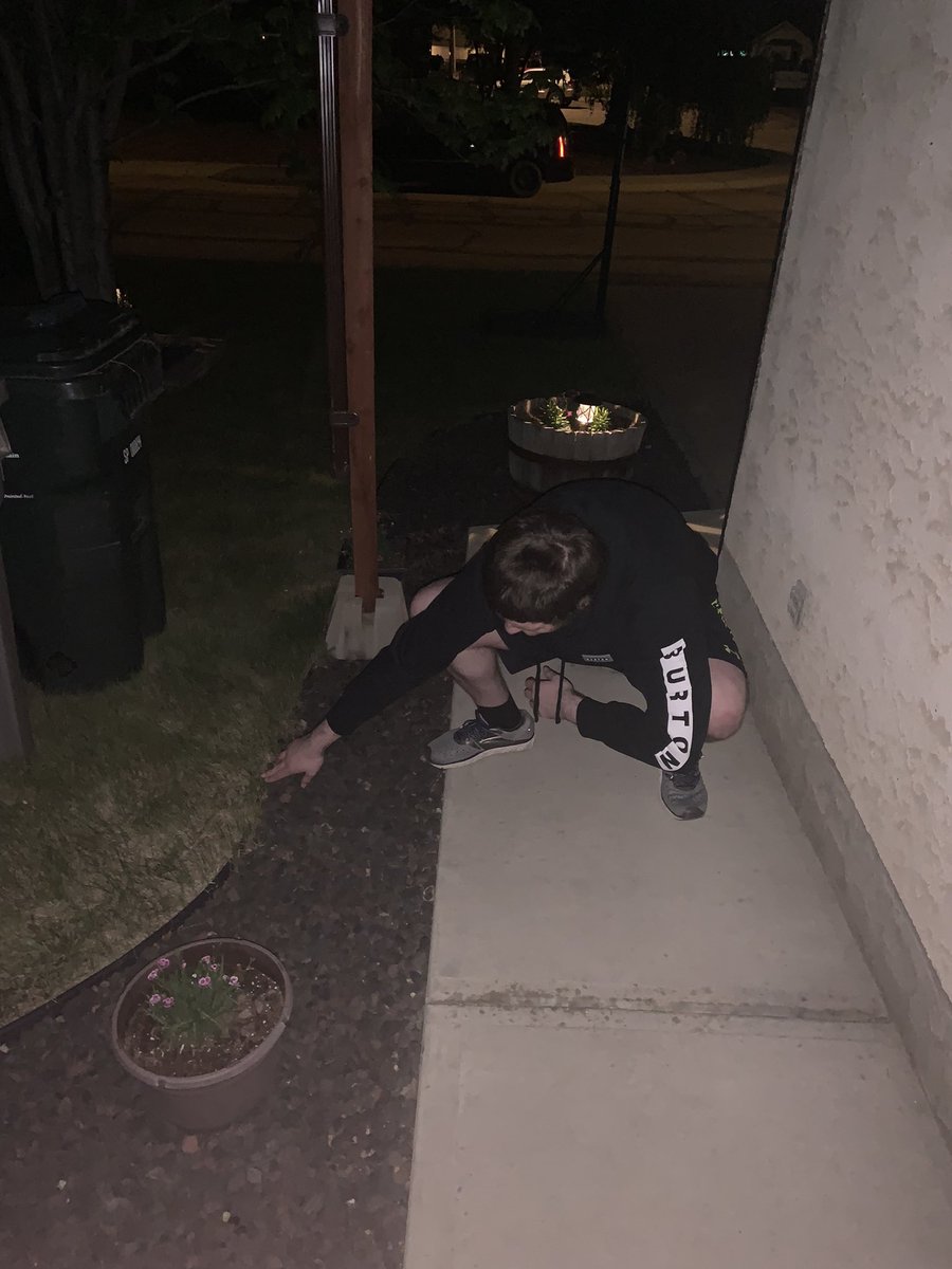 No better time for a night owl to touch some grass then in the middle of the night. 

#WHTouchSomeGrass