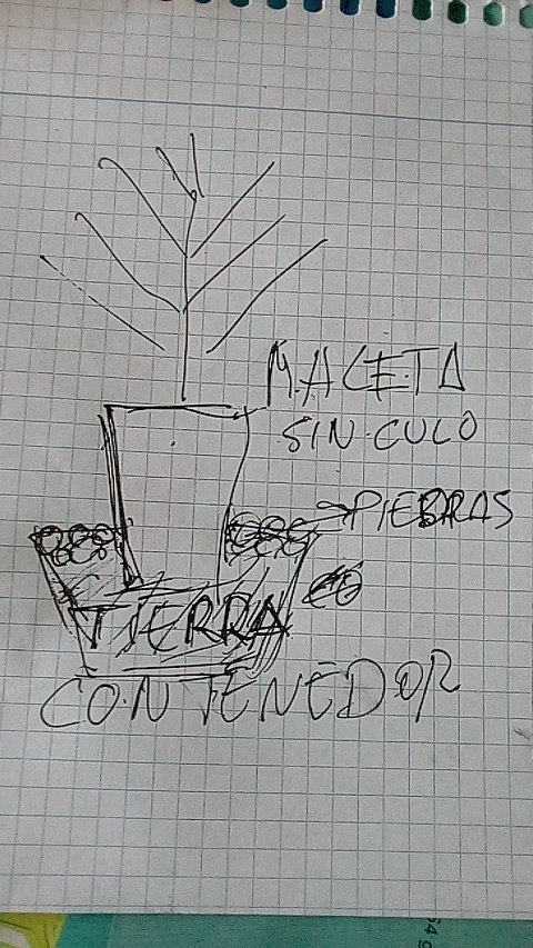 Sin_Pension's tweet photo. Bon dia a todos mis #Seguidores_262 ....
Podemos estar trankilos, somos un #Ekipo mas k suficientes para los #Romanos ...Kuando lleguemos #A_300 invadiremos #Persia
Poko a poko las tierras serán rekuperadas y preparadas para establecer una kultura Agraria.
!!! Llenaremos https://t.co/Zypey7nF1v