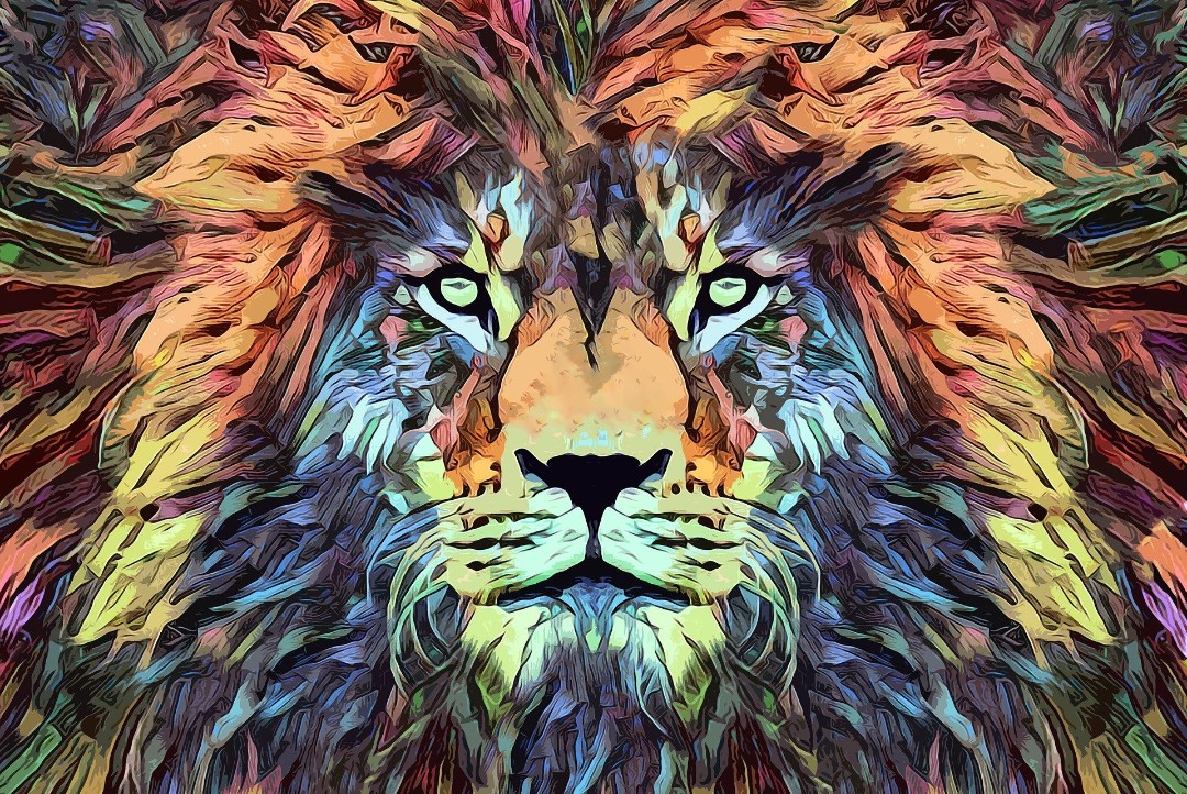 Tony Matthews VEGANPROUD tweet media