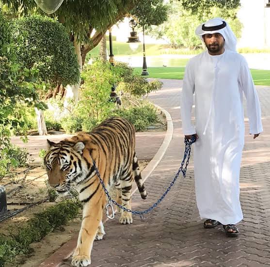 adnan12three's tweet photo. @chashmEnumm https://t.co/PNPT5uNx8x