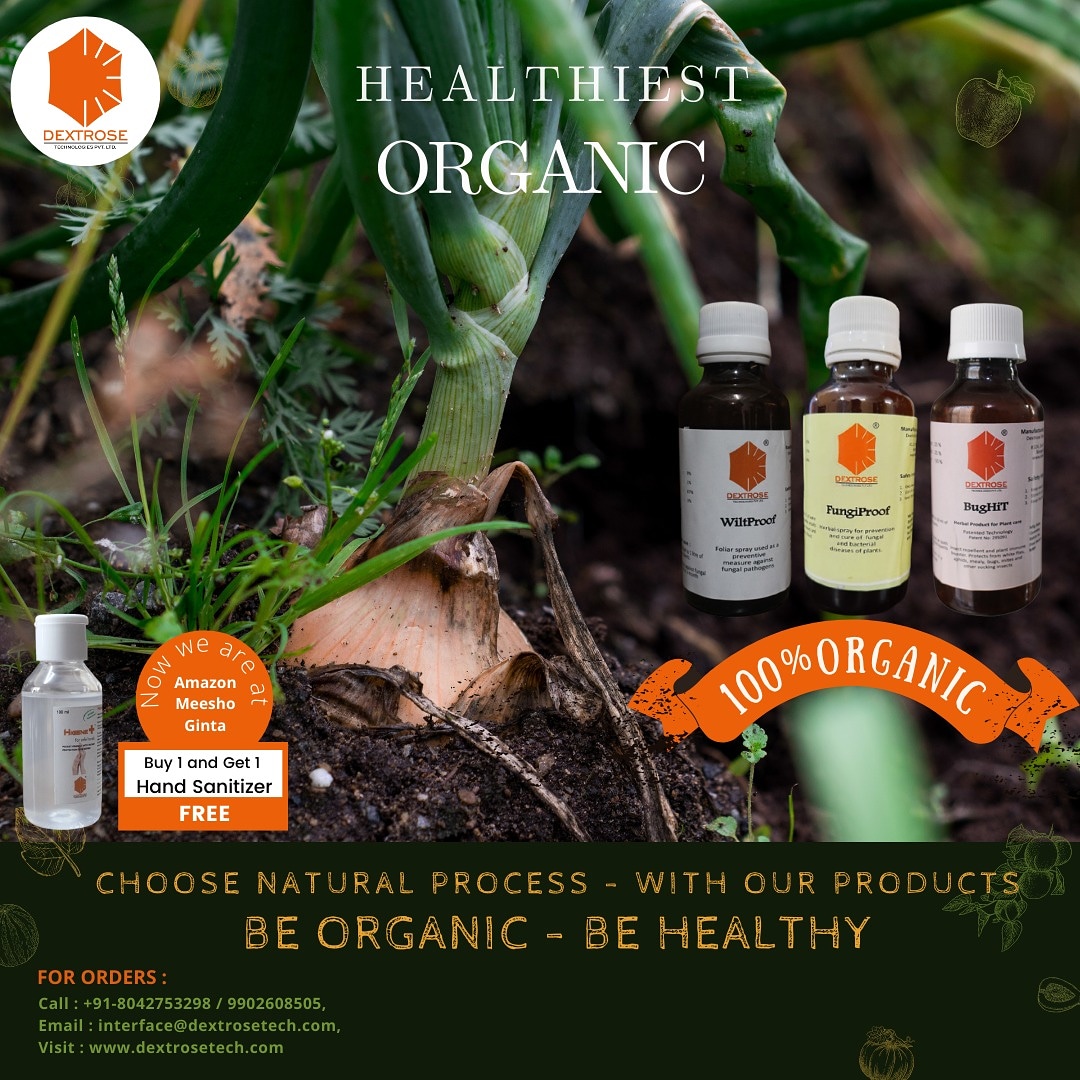 Aravind39758402's tweet image. Plant roots are vulnerable to nematode attack. Now protect your greens from root-knot nematodes and fungal diseases like anthracnose, black spot, soft rot, mildews, etc. Use WiltProof, BigHit, and FungiProof from Dextrose. 

#dextrosetechnologies #biotechnology_science #organic