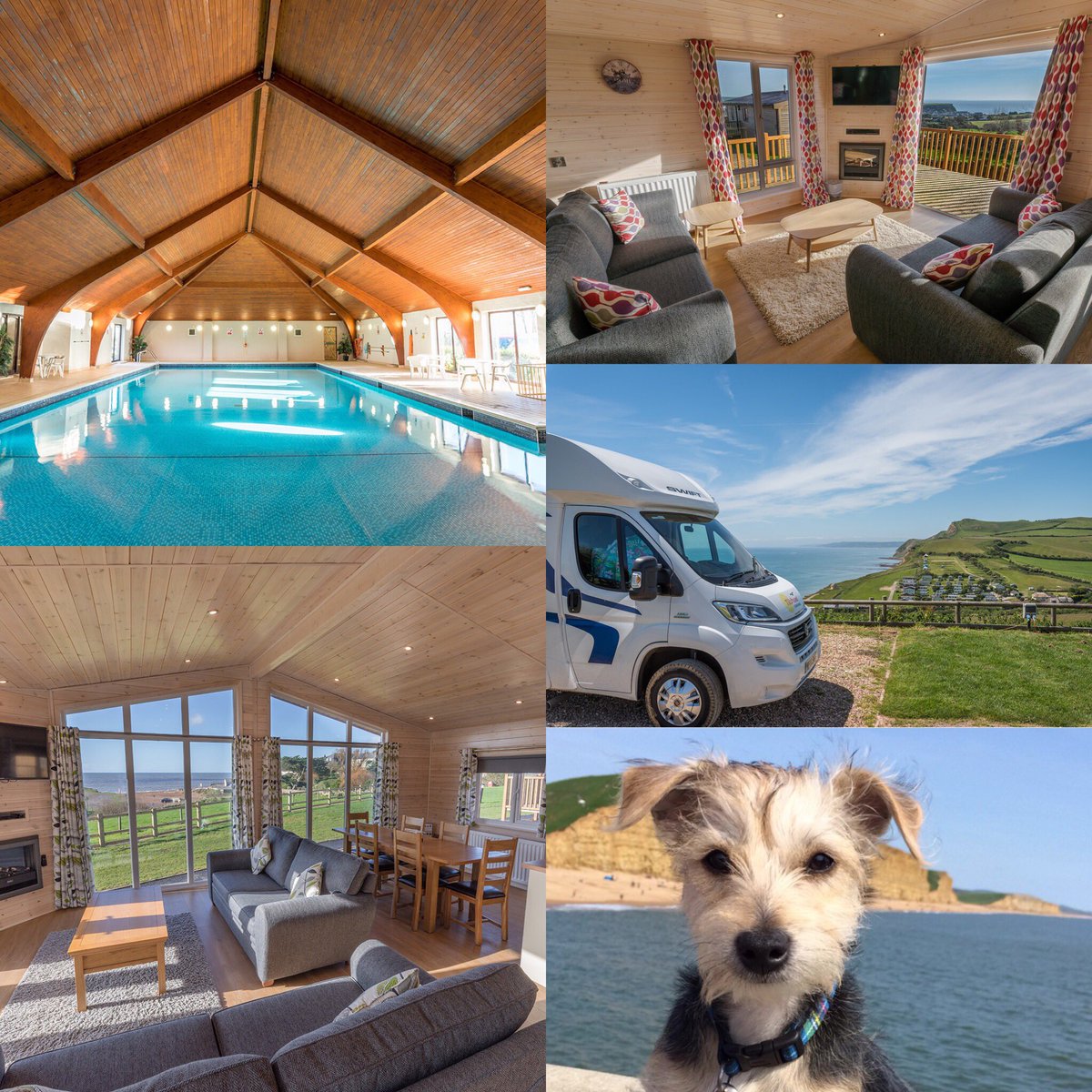 Dotty4Paws (@dotty4paws) on Twitter photo With a choice of four #holidayparks, all of which are located in West #Dorset, <a href="/WDLH/">West Dorset Leisure Holidays</a> provide the pawfect #dogfriendly base from which to explore the #JurassicCoast with your furry friend 🐕🌊🦀🐬
dotty4paws.co.uk/businesses/lis… … …
#Earlybiz With a choice of four #holidayparks, all of which are located in West #Dorset, <a href="/WDLH/">West Dorset Leisure Holidays</a> provide the pawfect #dogfriendly base from which to explore the #JurassicCoast with your furry friend 🐕🌊🦀🐬
dotty4paws.co.uk/businesses/lis… … …
#Earlybiz