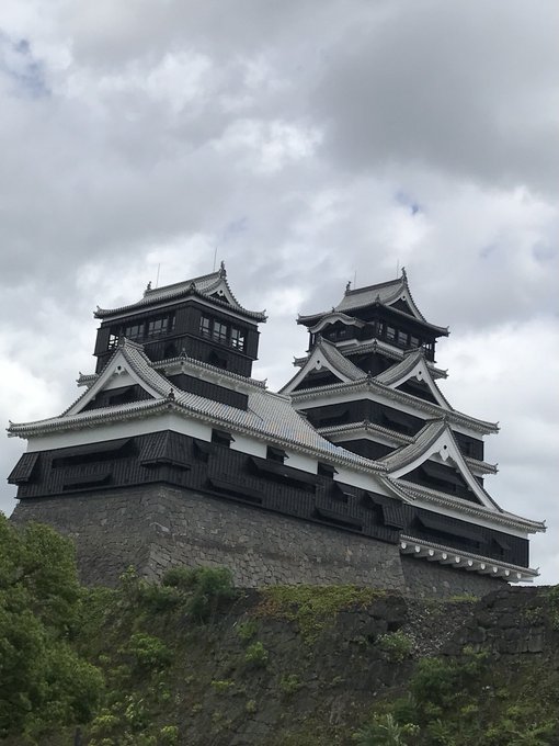 本城のtwitterイラスト検索結果