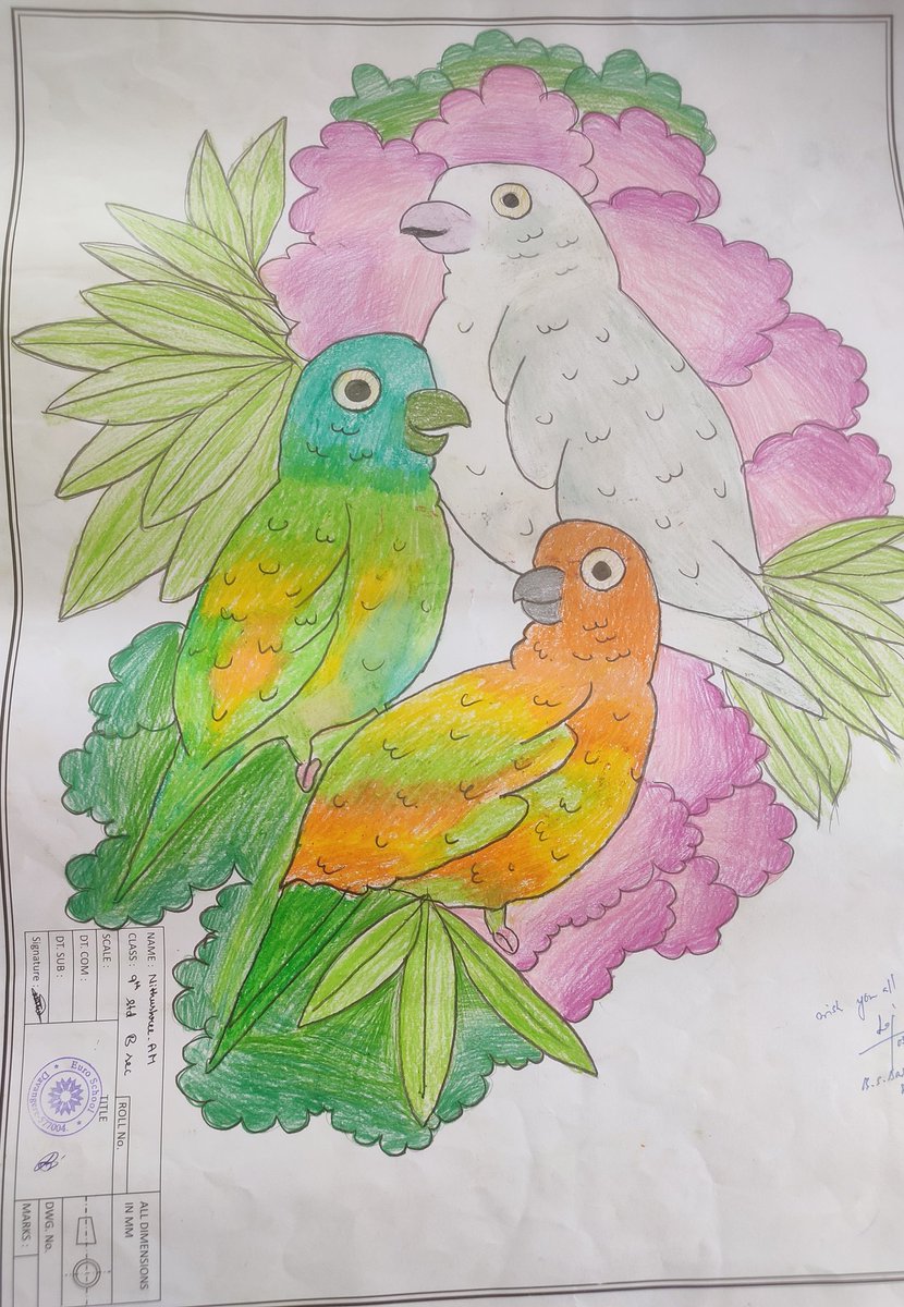 shhargiVK's tweet photo. #WorldEnvironmentDay ನಿಮಿತ್ತ @namma_vk ಯಲ್ಲಿ #saveparrot ಅಭಿಯಾನದಲ್ಲಿ ಹೈಸ್ಕೂಲ್ ಮಕ್ಕಳು ಗಿಳಿ ಚಿತ್ರ ರಚಿಸಿದರು. ಜಿಲ್ಲಾ ಖಾಸಗಿ ಶಾಲಾ ಆಡಳಿತ ಮಂಡಳಿ ಸಹಯೋಗ ಇತ್ತು.
@SaveParrot @katranjeet @editor_vk @Sudarshanvk2 @vkbrand2018 https://t.co/ZKkO0liYXZ