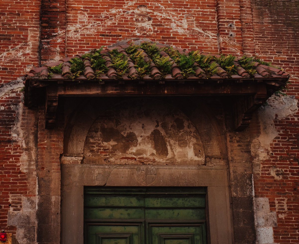 Streets in Pisa