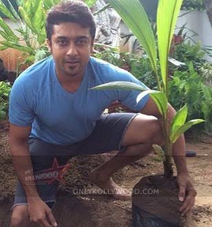 SfcNellai's tweet photo. என்றும் @Suriya_offl அண்ணன் வழியில் இன்று எனது #பிறந்தநாளை முன்னிட்டு #மரம் நடவு செய்தேன் 🌴
#மரம்வளர்போம் 🌴 #மழைபெறுவோம் 🌧️ @rajsekarpandian @prabhu_sr @SuryaFansRage @NellaiSuryaTeam @TvlSFC @Singam_Fort @KSF_Offl @Offl_Updates @OSFC_Offl @Salem_sfc_offl @Manjuthara12 https://t.co/LgfYYHjHsN