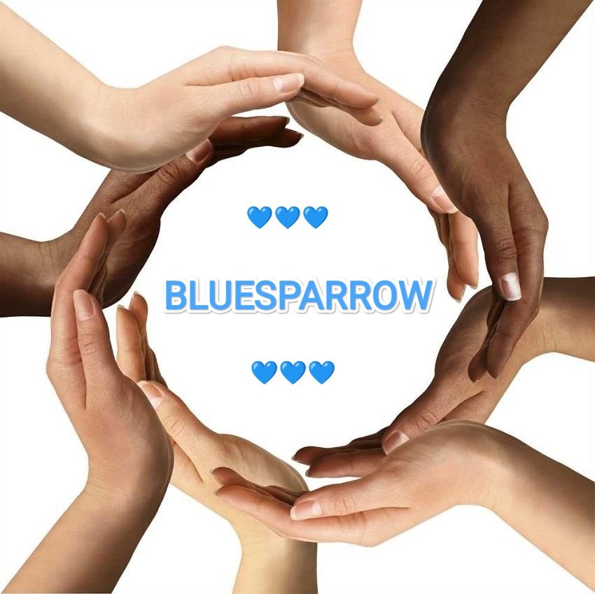 CryptoJeffri's tweet photo. @SuzumeBLS #luesparrow🚀🚀🚀
#bluebit
#suzume 💙 https://t.co/Iel6vFU1r8