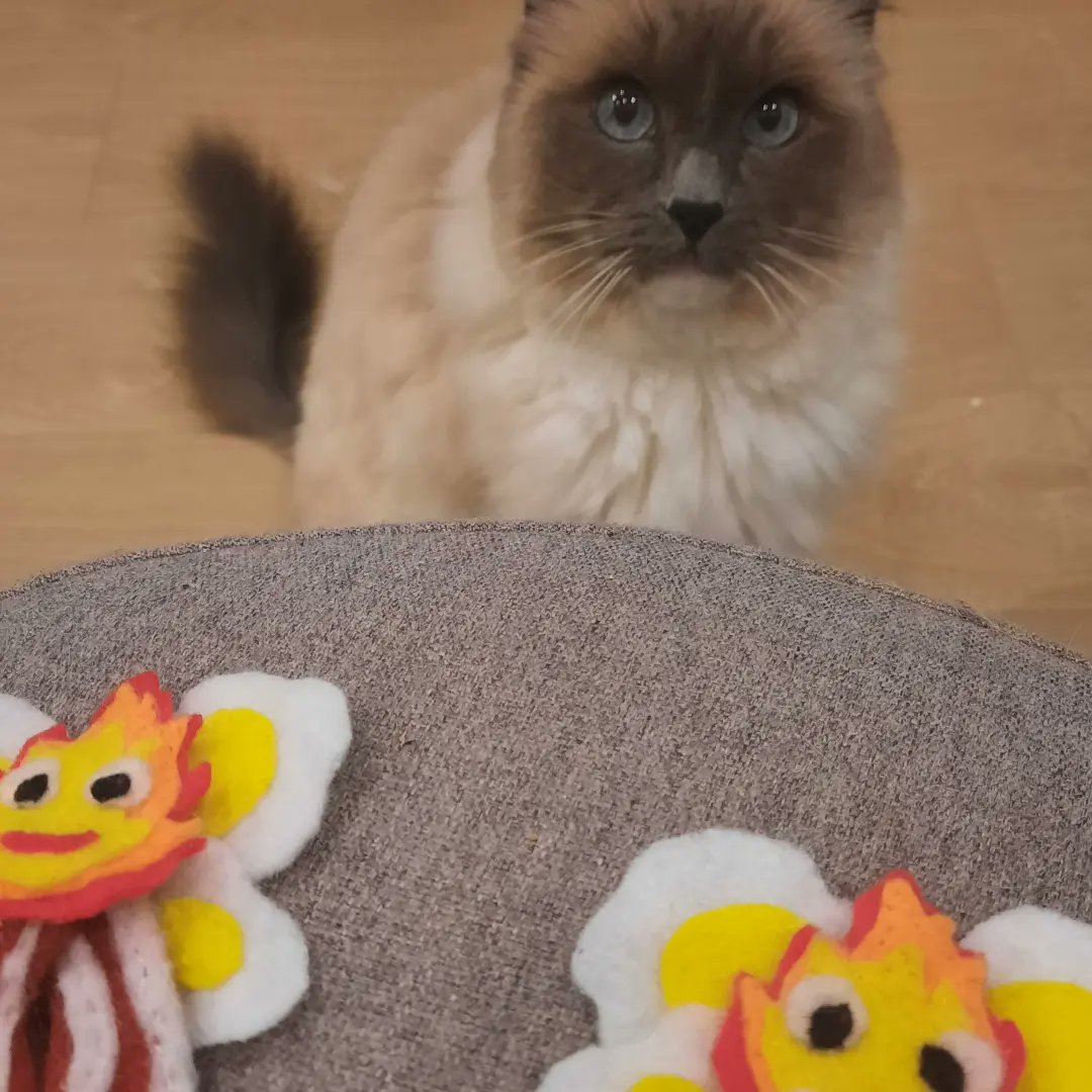 WentPlonk's tweet photo. Comic Con is almost here! This is my work in progress so far towards my updated Calcifer cosplay
#ComicCon
#ozcomiccon
#HowlsMovingCastle
#Calcifer
#cosplay
#Cosplaywip
#WorkinProgress
#wip
#StudioGhibli
#Felt
#Feltart
#art
#Artblog
#Sswp
#Smithstreetwentplonk https://t.co/gKORLEt9aC