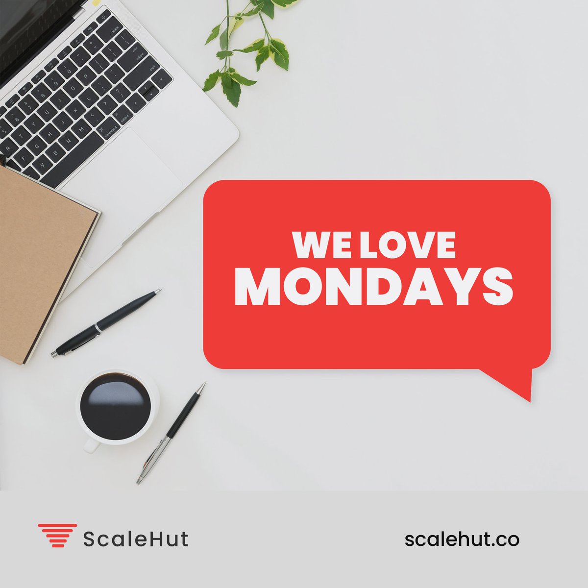 Illuxtra's tweet photo. We love Mondays because it's a great day to help blockchain, cryptocurrency and SaaS products scale in emerging markets by building connections with their target audience.πͺ
#scalehut #marketing #startupfounders #techcompanies #blockchain #SaaS #mondaymotivations #Bitcoin https://t.co/soxJKC5OF8