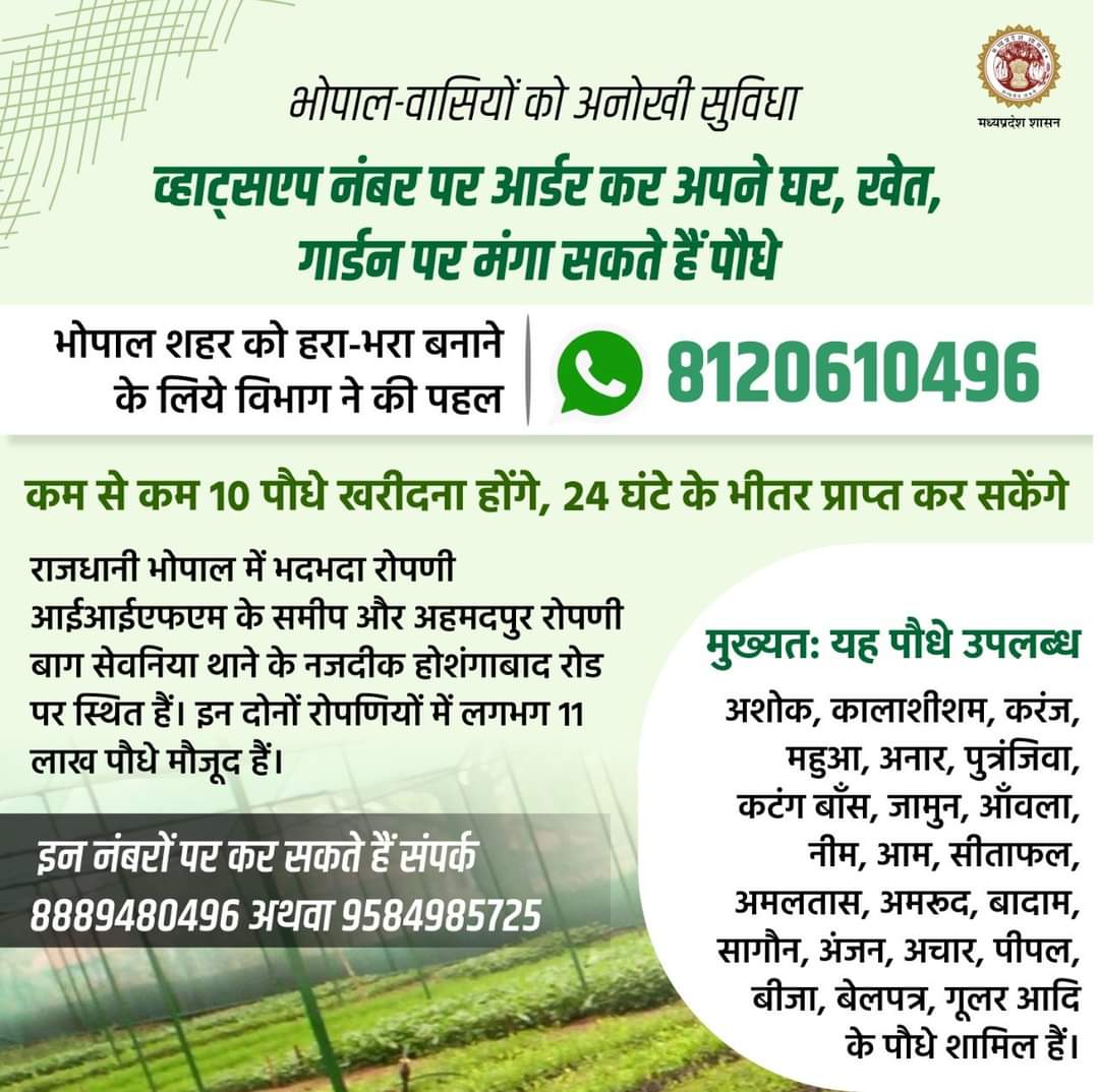 CollectorBhopal's tweet photo. भोपाल-वासियों को अनोखी सुविधा-
व्हाट्सएप नंबर पर आर्डर कर अपने घर, खेत, गार्डन पर मंगा सकते हैं पौधे
कम से कम 10 पौधे खरीदना होंगे, 24 घंटे के भीतर प्राप्‍त कर सकेंगे
📲 8120610496

#WorldEnvironmentDay2022
#JansamparkMP https://t.co/wNlXhy07CM