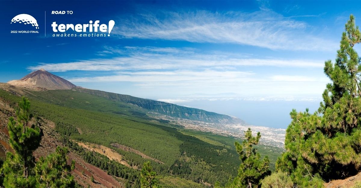 World Corporate Golf Challenge - South Africa tweet media