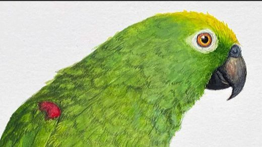 Skylark Galleries tweet media
