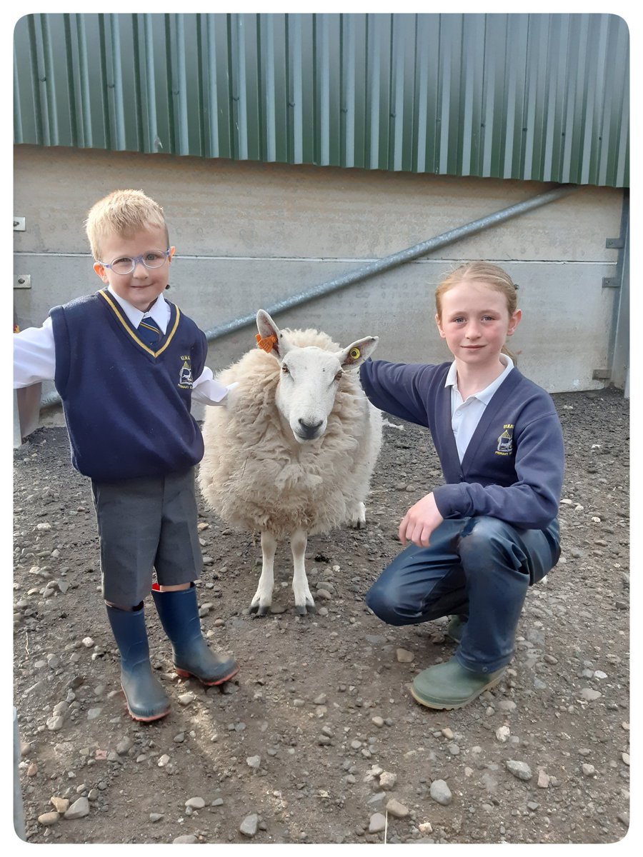 Kilmacolm Farm Tours tweet media