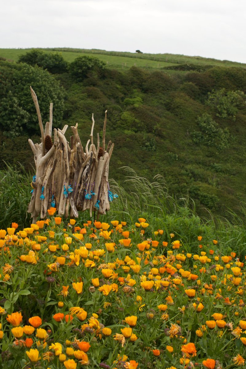 whippetup4's tweet photo. 'Coastal Crowns' are now in #Saltburn Lower Path - 25 community sculptures nestling among the flowers. Built at our #SocialPrescribing groups in #Redcar #Saltburn #Boosbeck and #Guisborough
@SaltburnTheatre @laurarcase https://t.co/0QlcC8URau