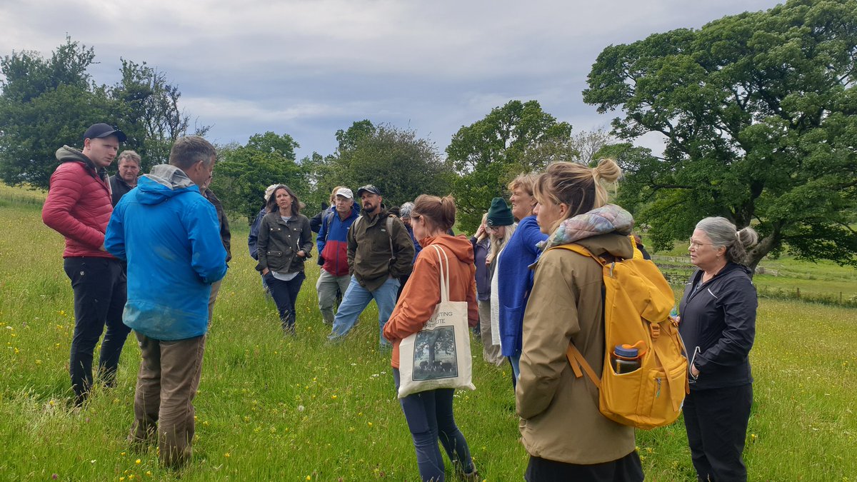 The Rural Writing Institute tweet media