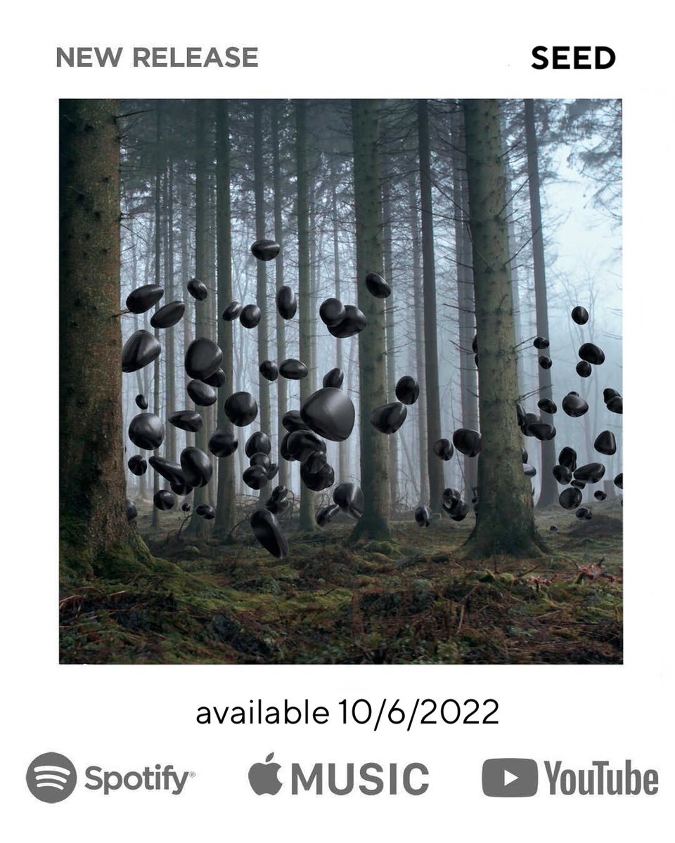 Alex Brajkovic tweet media