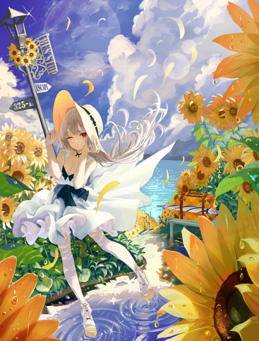 🌻🌻🌻
ひまわりー 