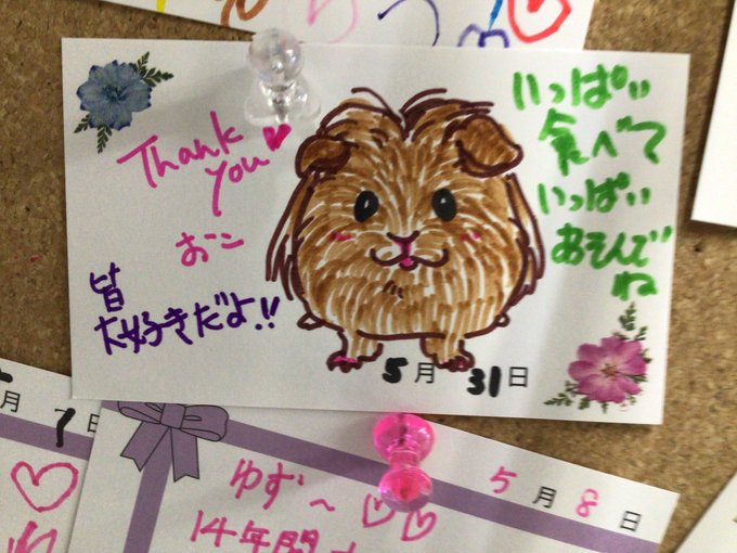横浜市 公式 よこはま動物葬儀センター ペット火葬 ペット葬儀社 昭和47年創業