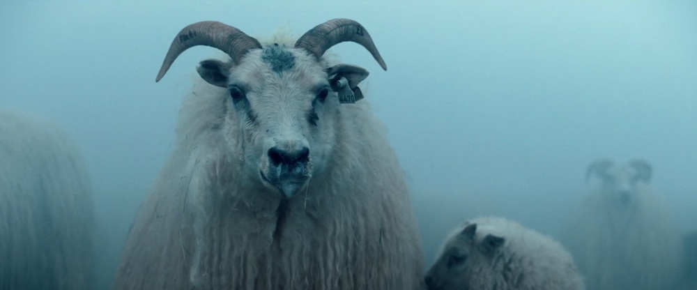 Fashion Press on Twitter: "A24の“羊ホラー”映画『LAMB／ラム』9/23公開 - 不穏な【日本版予告解禁】  羊から生まれた不気味な“何か”の正体とは - https://t.co/Mhp3qZEfUz https://t.co/Bq0dzRj4BE" /  Twitter