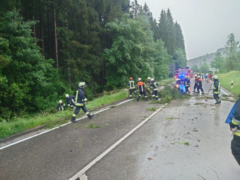 Stichwort: THL 1 - Bäume auf Straße Fahrzeuge: LF 10 + MZF  Kameraden: 15 Das kurze und sehr heftige Unwetter heute Nachmittag mit Hagel, Regen und Sturm, rief auch unsere Wehr auf den Plan.  #alttrauchburg #bavaria #bayern #danke

ffw-kleinweiler.org/einsatz-feuerw…