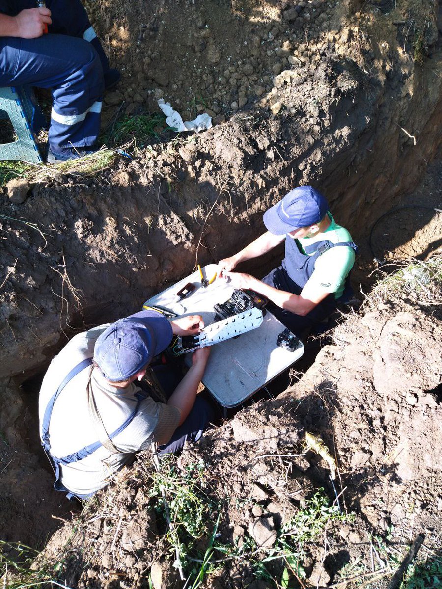 Mikhail Shuranov tweet media