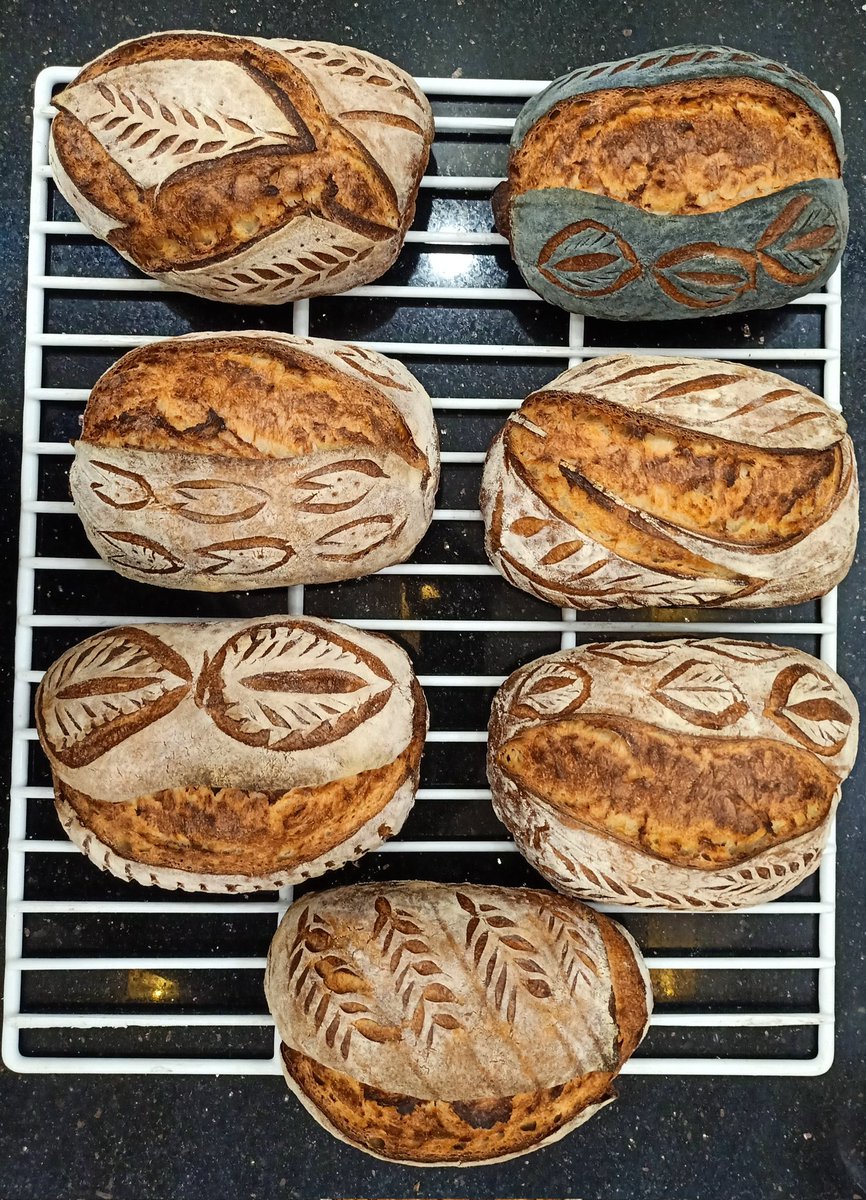 Artisan sourdough✌️#sourdough