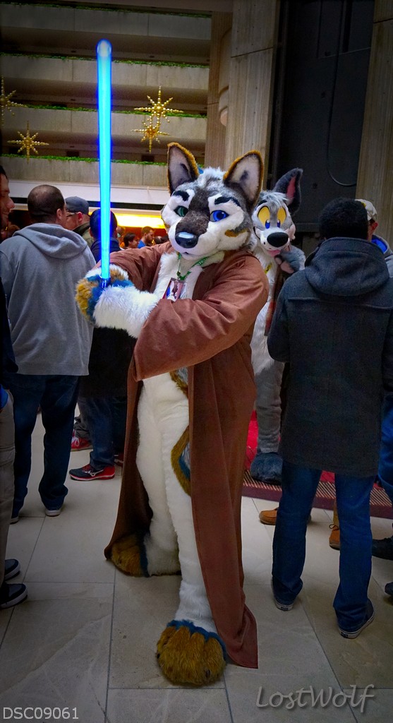 LostWolf321's tweet photo. (Photo reedit)
It's Jedi @jasper_girl1989 @midwestfurfest
#MWFF2015 #MFF2015 #FurFest https://t.co/uw4VlGWrl1