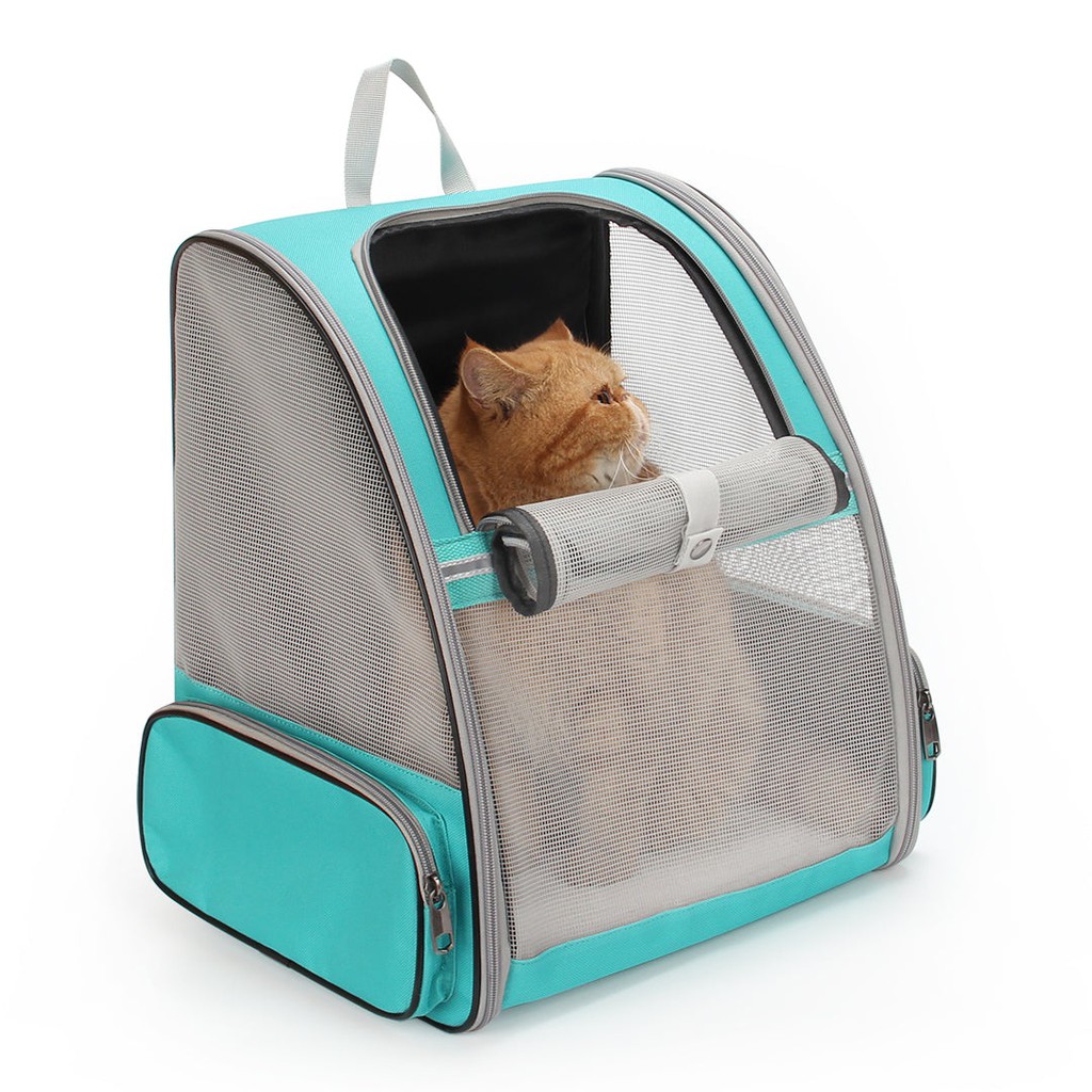 CitizenShipper's tweet image. We love the clever design of this Lollimeow cat backpack because of its versatility.

Read the full article: 9 Best Cat Backpacks for 2022: Have Your Kitty Travel in Style
▸ citizenshipper.com/blog/best-cat-…

#catbackpack #ForCatPeople #Cattravel #catsoftwitter #CatWearing