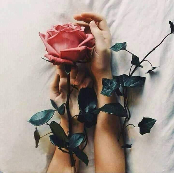 19055_'s tweet photo. #Bazen Öyle Bir #Yanılırsın Ki
#Sanırsın
#Eş'im Dost'um #Çok
#Sonra Öyle #Şeyler Olur Ki
#Dönüp Bir #Bakarsın...
#Arkanda Gölgenden #Başka Hiç #Kimse Yok https://t.co/tBvPW59Jnq