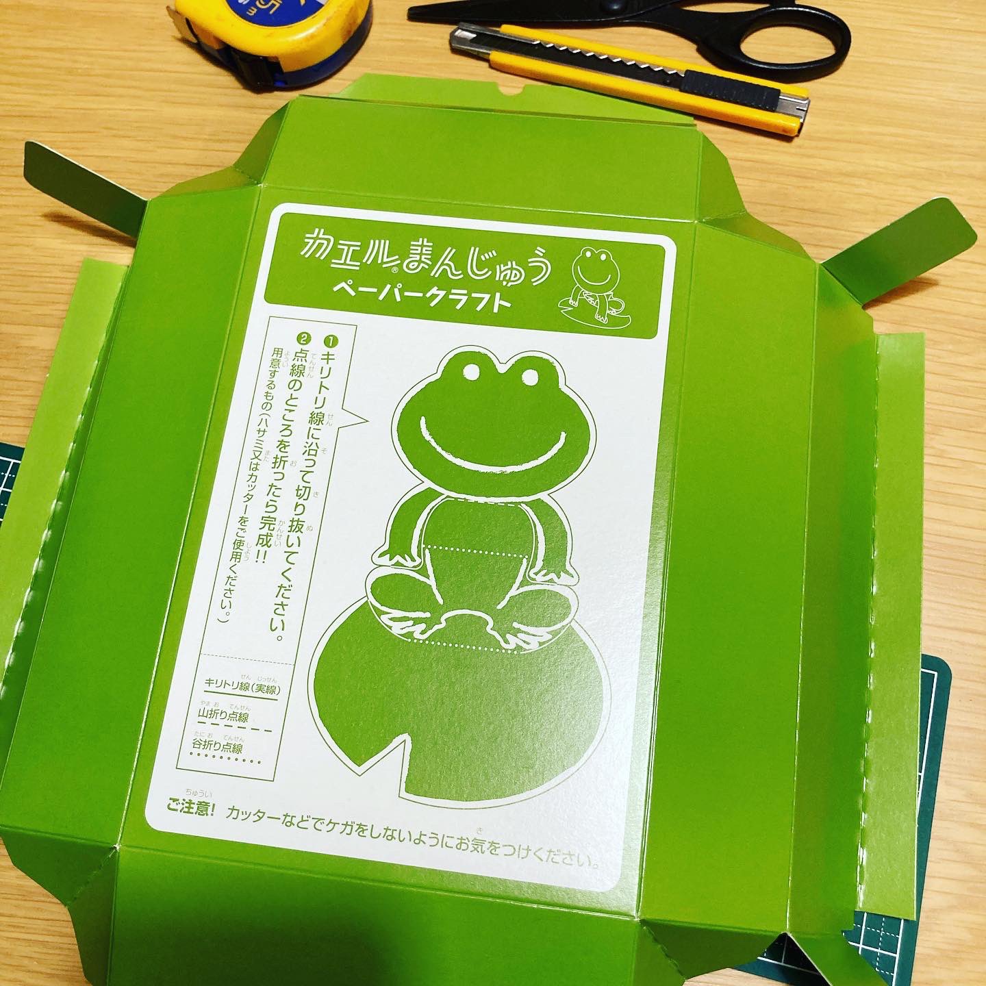 カエルちゃんページ こおったゲッコー | ゲッコーのガレージ｜ようじむけトラック