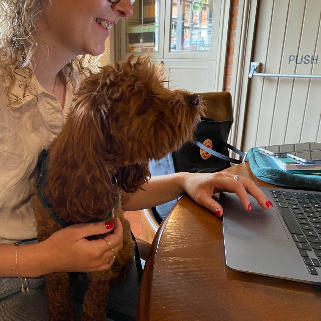 kenilworthspub's tweet photo. Bring your laptop and your furry office assistant to the Virgins &amp; Castle! 🐶

For £15 you can get a plug socket, unlimited tea, coffee and water, and a meal from our lunch menu with our #PubDesk 💻

We'll also make a fuss of your furry friend! (no extra charge) 😍

#DogFriendly https://t.co/2aEzSrqwLc
