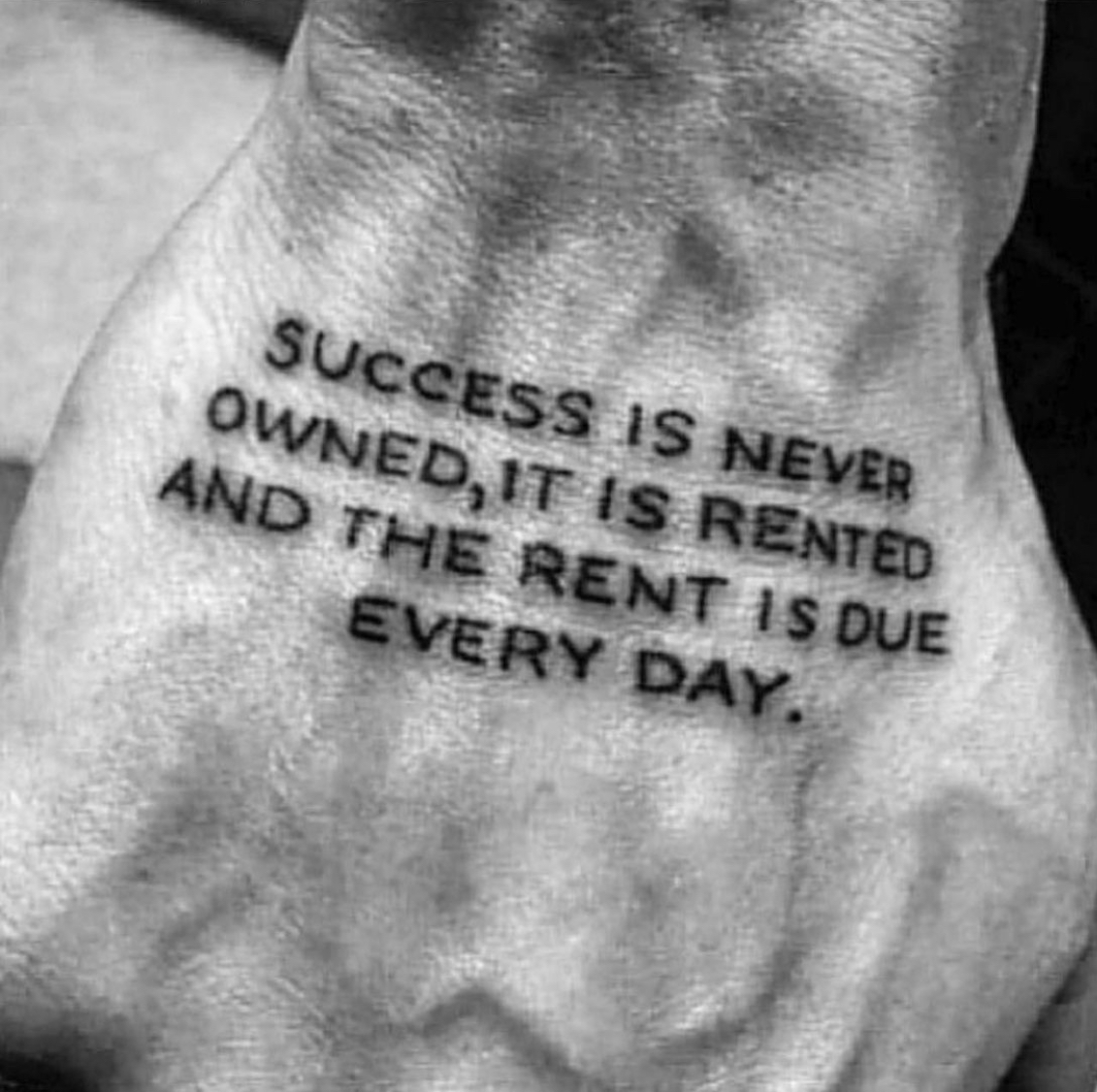 Nico James tweet media