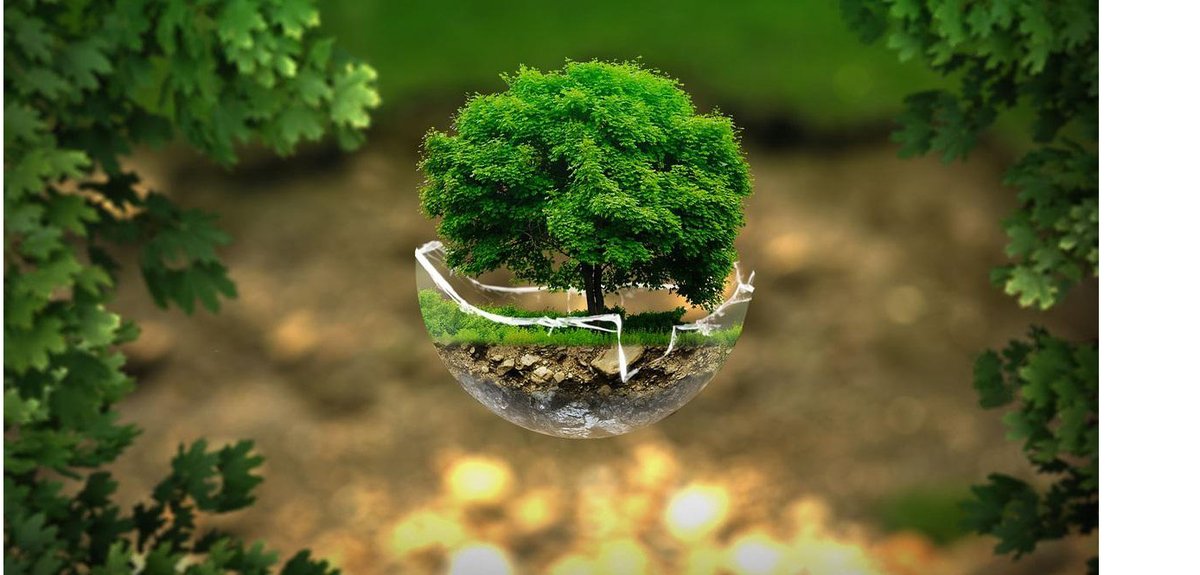 To celebrate the planet that we call home, the UN joined forces for World Environment Day on June 5th 2022 with one motto, “We have only one earth. Let's take care of it.” 🌍🌿

Read more about the convention on HOP's blog below 👇

hopbar.co.uk/post/one-earth