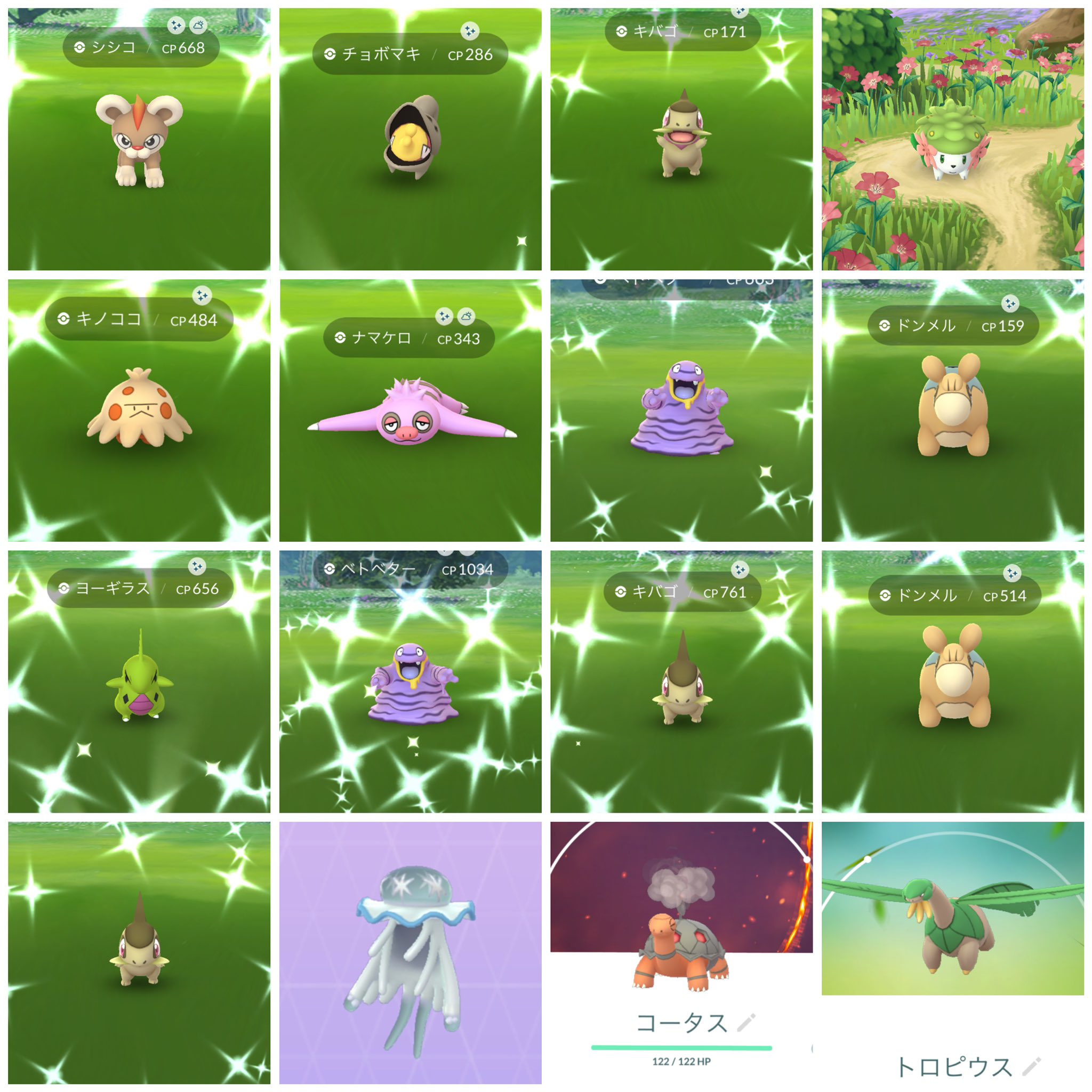 おてんさん ポケモンgoフェスト22 お疲れ様でした 旬の色違いも トロピウスの厳選もできて満足なイベントとなりました キバゴはもちろん キノコの色違いも欲しかったので無事ゲットできてよかった 来年のgoフェスも楽しめますように 今日は