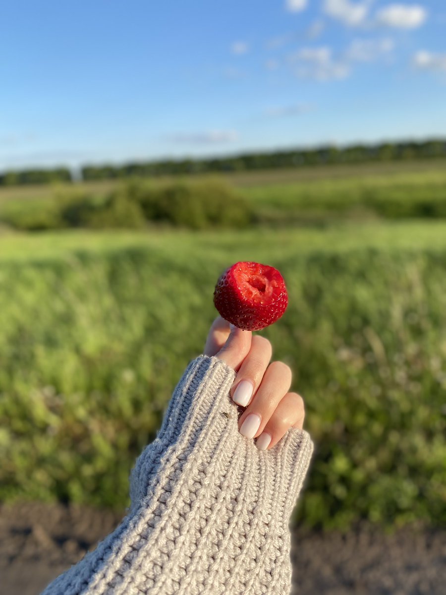 evi_bayer's tweet photo. Good morning #NFTworld ✨🍓 My day begins in nature, I get a boost of energy and vitamin D 🥰💖

I wish you a productive week 🌿 https://t.co/8sJ9Xvpu5x