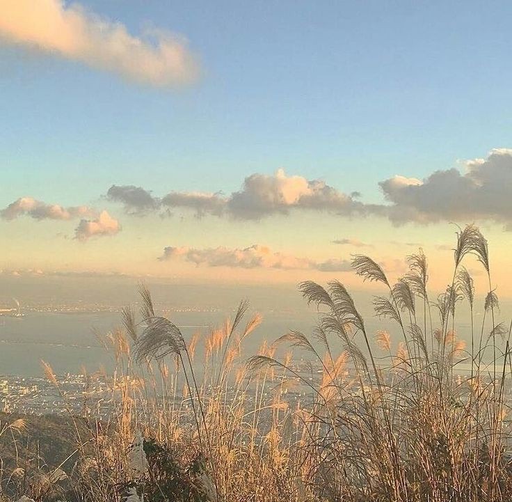 ⠀⠀⠀⠀ 
                     
    [@harysawari posted an sns update]

     “Atleast we're under the same sky.”
 ︎