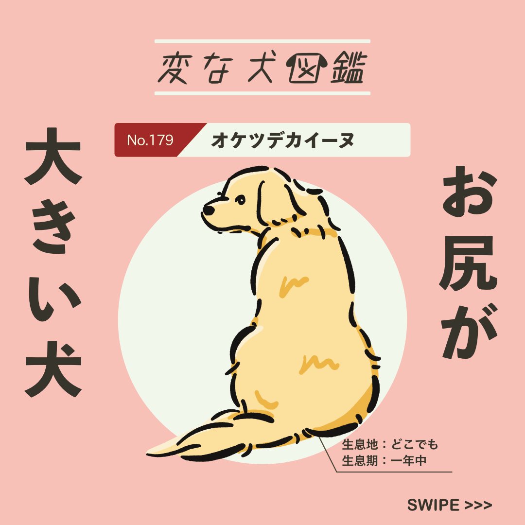 【#変な犬図鑑】
No.179 オケツデカイーヌ
お尻が大きいあの犬です。 