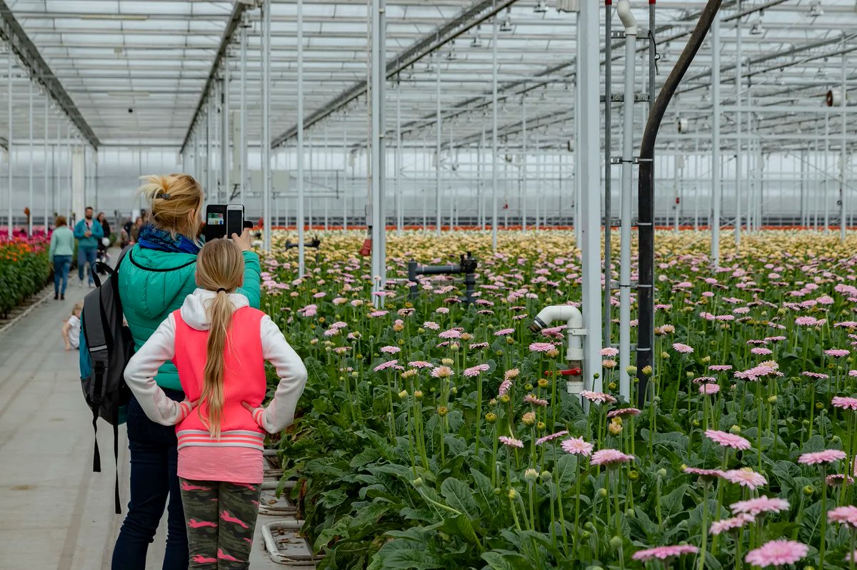 Tijdens ‘Kom in de Kas’ (11 &amp; 12 juni) krijgt iedereen de mogelijkheid om een kijkje te nemen in de kas. Meerdere van onze Floriway-relaties doen mee aan dit evenement. Bekijk alle deelnemers en verdere informatie op: komindekas.nl