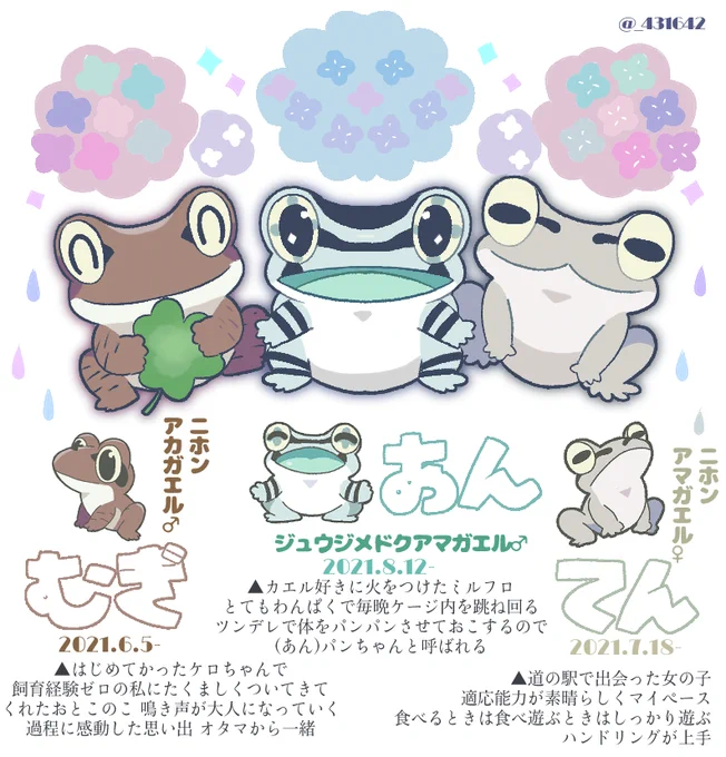 #カエルの日 なので飼っているカエルちゃんをPRさせてくださいケロ🐸🤎🐸🤍🐸💙ゲッコウガを愛しすぎてカエルちゃんのことを一年前からお勉強してきました♪
@kk656658 👈ゆるくやってるカエルちゃんアカウント 