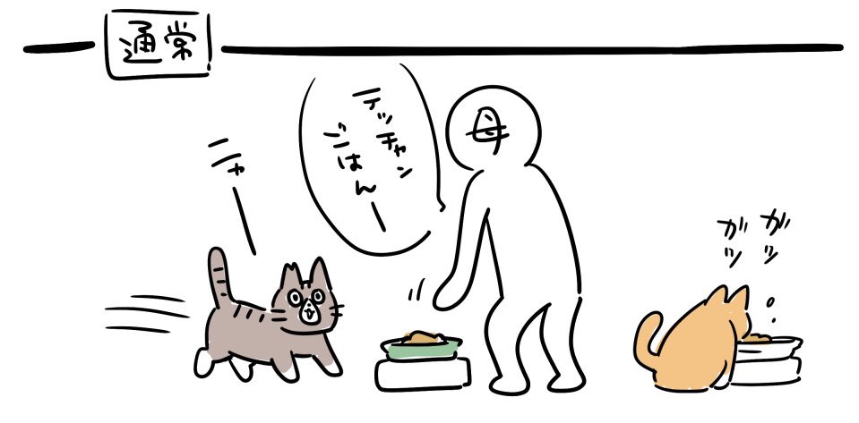 めんどうくさい猫、テッチャン。
#テチモグ日記 #テッチャン日記 