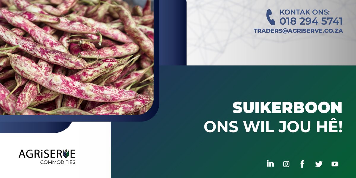 AgriserveC's tweet photo. Suikerboon ons wil jou hê! 😉 Ons wil jou suikerboon-oes koop! Stuur vir ons ’n e-pos na traders@agriserve.co.za en maak die beste prys vir jou oes vas. 🌱

#Agriserve #Cropsure #Commodities #Mielies #Graan #Landbou #Agri #Plaas #Boer #GraanGroot https://t.co/jFIb2iuGfF