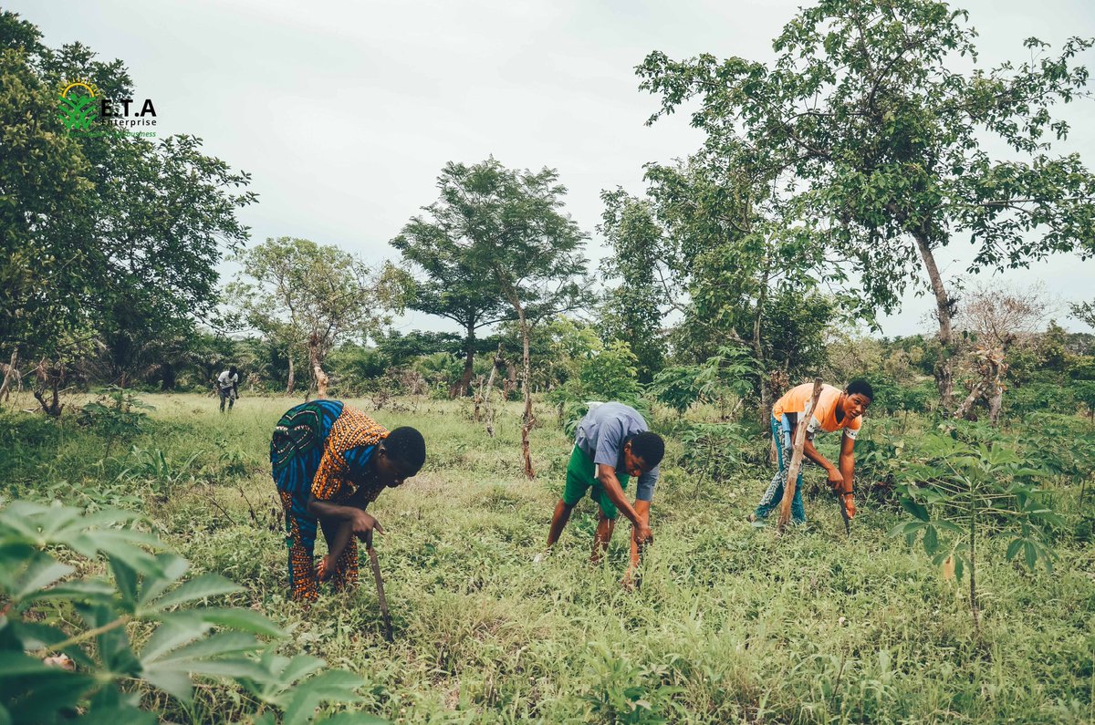 ETA_enterprise's tweet photo. What is worth doing is worth doing well.
With @ETA_enterprise Farm Dev & Mgt service - you can have your Farmland Developed while at your comfort!
Send us a DM to get started!
#NewWeek #farming #plantation #farmdevelopment #farmmanagement #Nigerians #investments #agriculture https://t.co/bsYHflRUC1